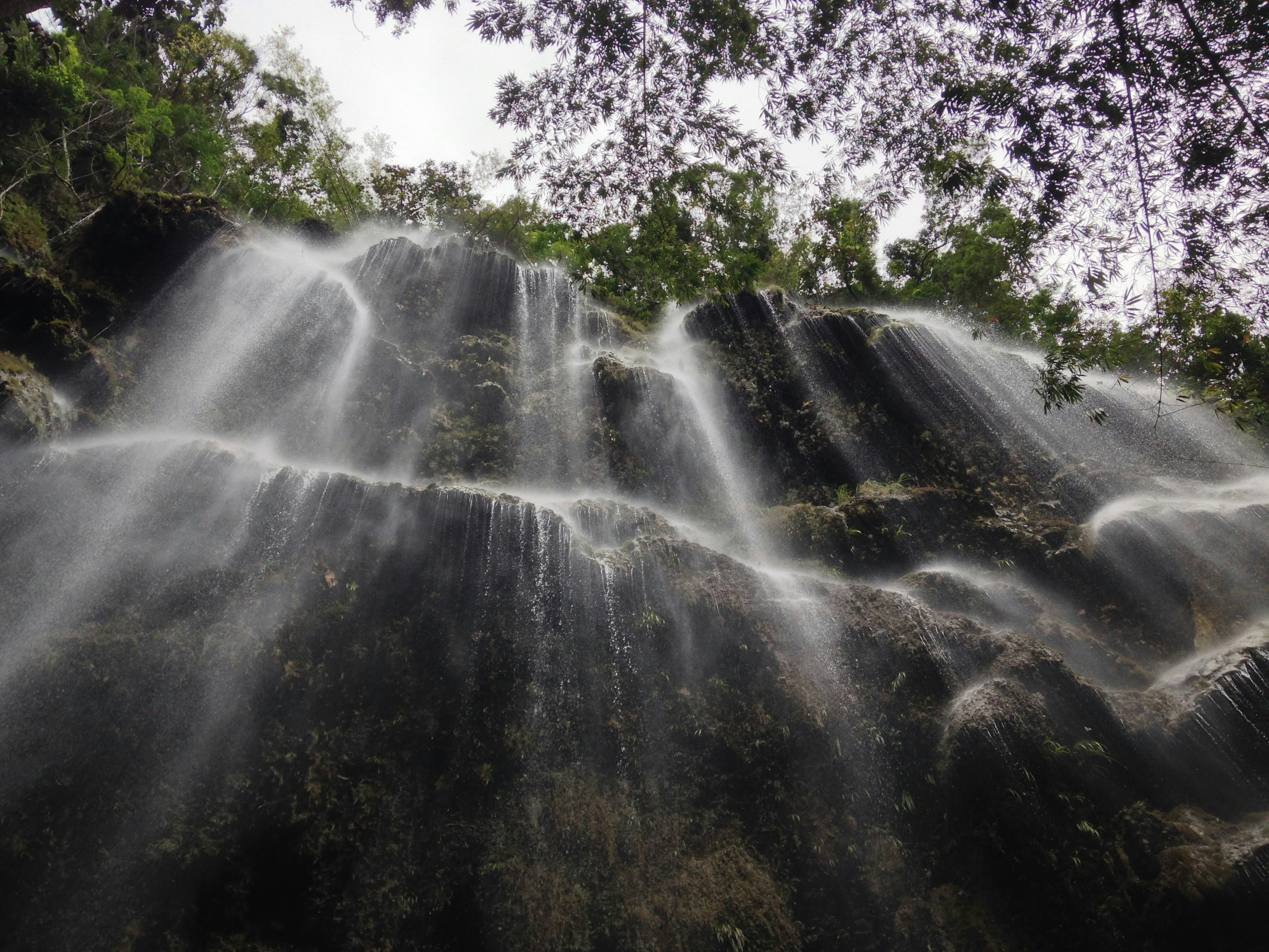 Image 4